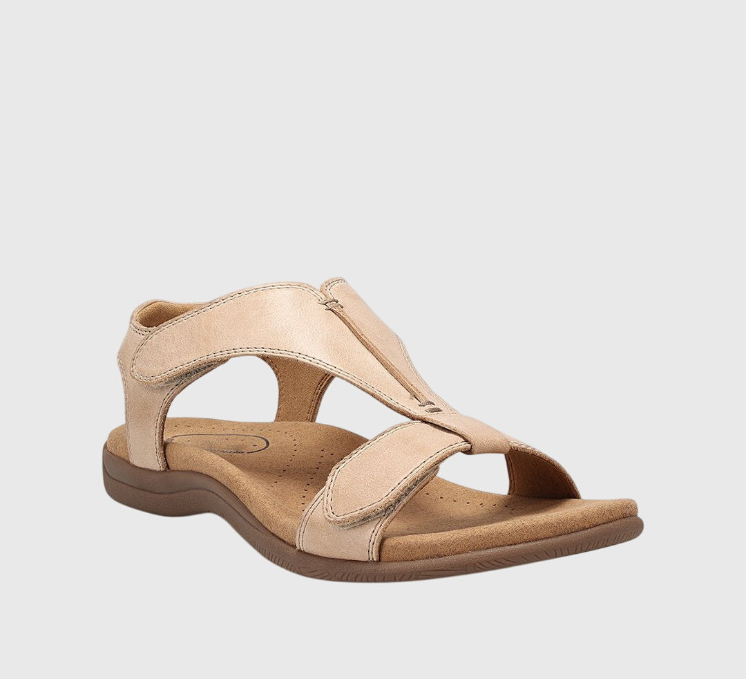 Beige / 42